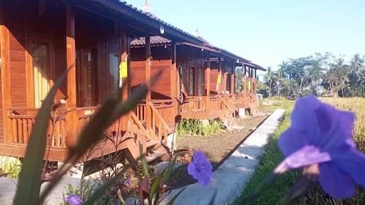 Ayu Guesthouse - Main Image