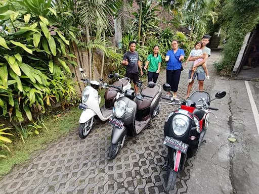 Wiguna transport, Ubud Cars & Scooters Rental, Transport services - Main Image