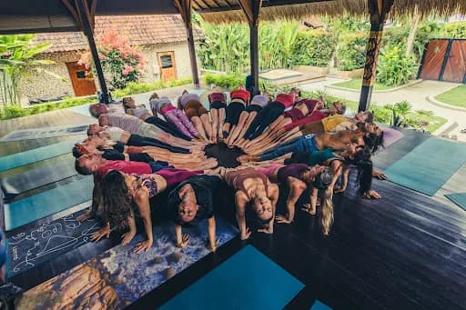 SoHA School of Healing Arts - Yoga Teacher Trainings - Main Image