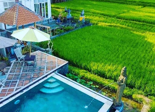 Firefly Retreat - Main Image