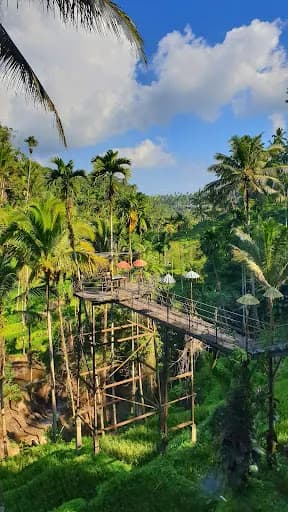Ubud Bali Day Tour - Main Image