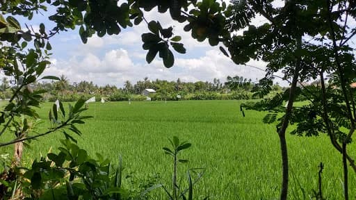 Tempat Tinggal - Main Image