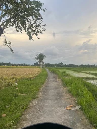 Linggih Bali - Main Image
