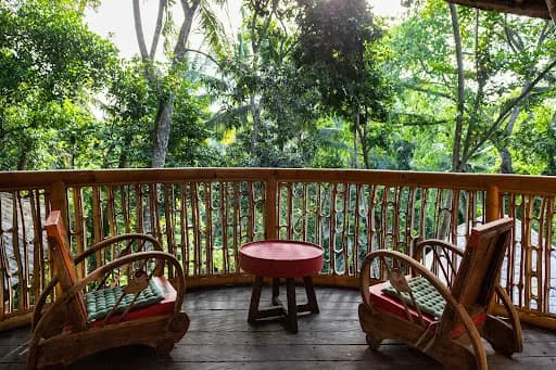 Bamboo Turtle Ecolodge - Main Image