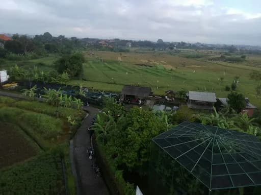 Uma.palak.(parkir.2) - Main Image