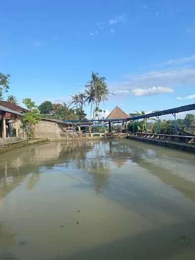 Kolam pancing tepi sawah - Main Image