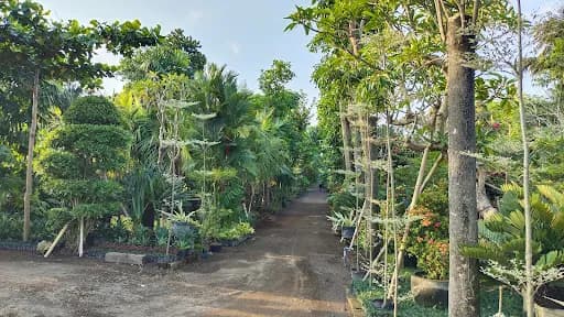 Natural Garden - Main Image