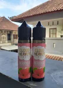 Vaporizer Holic Bali - Main Image