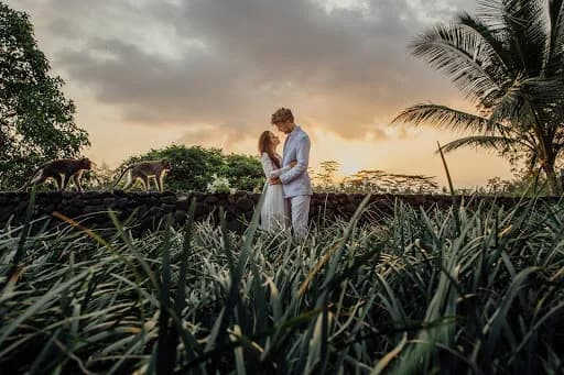 Apel Photography | Bali Wedding Photography - Main Image