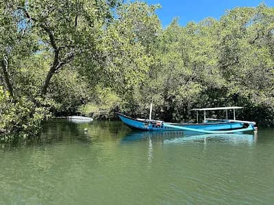 Taman Hutan Raya (Tahura) Ngurah Rai - Main Image