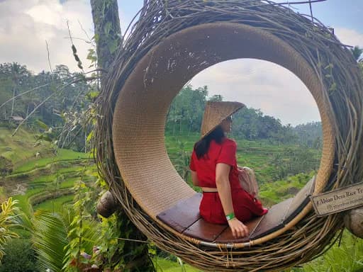 Bali Tour Partner - Main Image