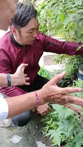 Greenshot Vegan Vegetarian Coffee - Main Image