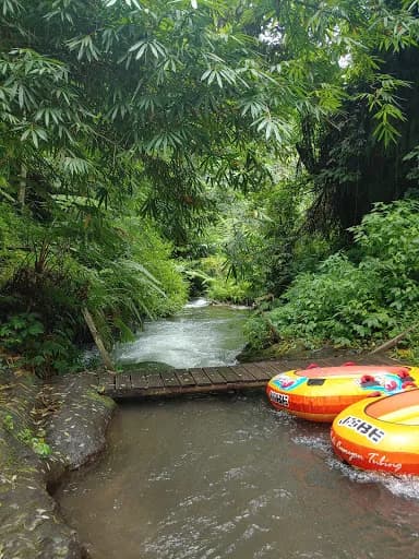 Bali Quad Discovery Tours - Main Image