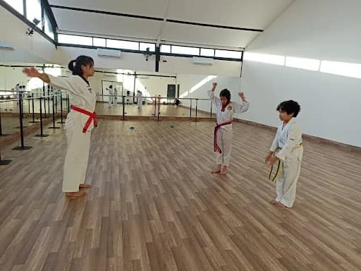 Taekwondo Kids School Sanur - Main Image