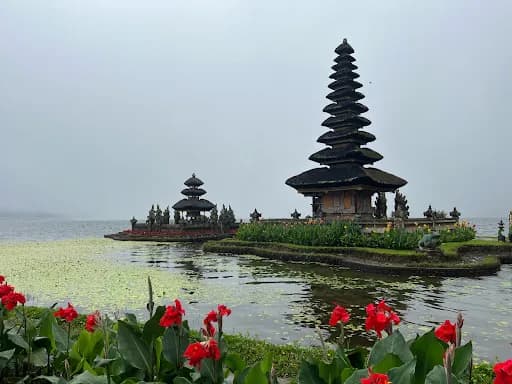 NICKTOURS - Main Image