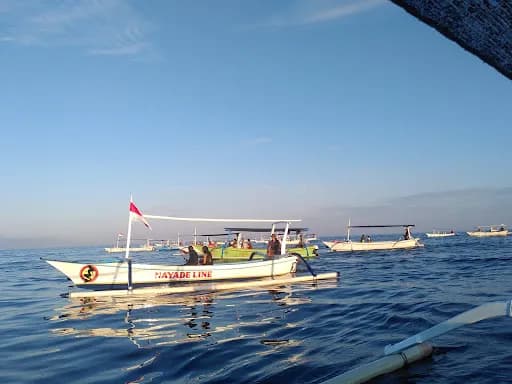 Stefano Bali Tour - Main Image