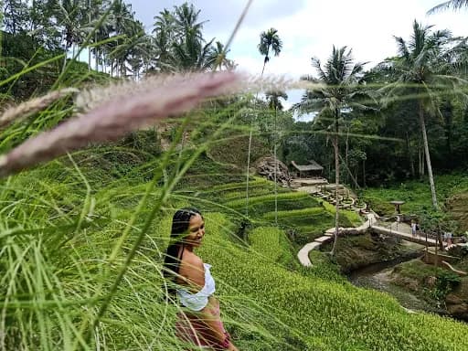 Lets_go_Bali tour and transport service - Main Image