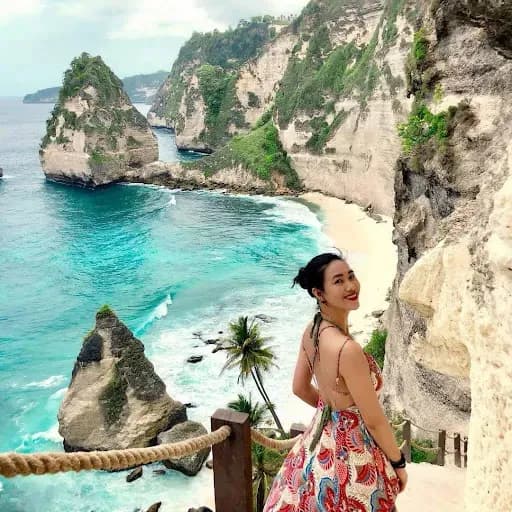 The Transporter Bali - Main Image