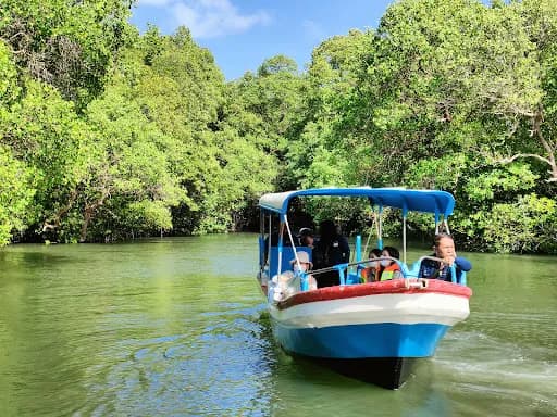 Ekowisata Mangrove Batu Lumbang - Main Image