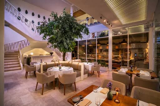 Mauri Restaurant - Main Image