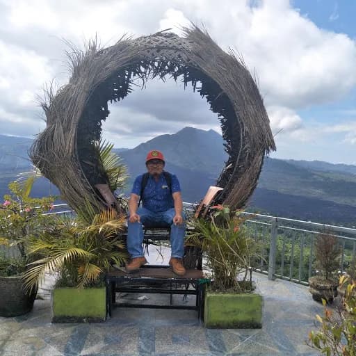 Bali Car Hire Driver - Main Image