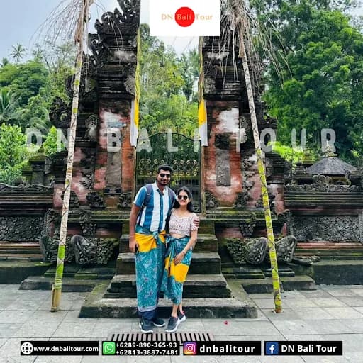 DN Bali Tour and Rent Car - Main Image
