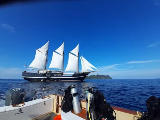 Dewi Nusantara Liveaboard Indonesia - Main Image
