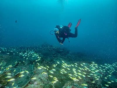 Dry and Wet Together Trip - Main Image