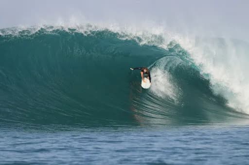 Surf Rehab - Main Image