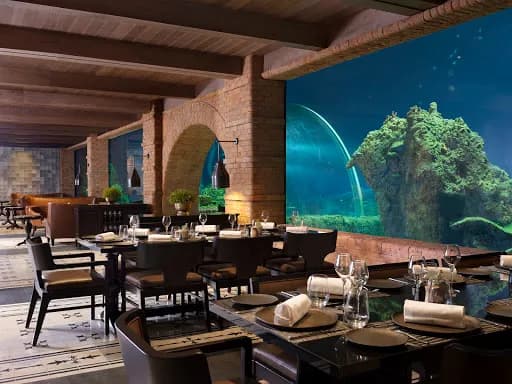Koral: Bali’s First Aquarium Restaurant - Main Image