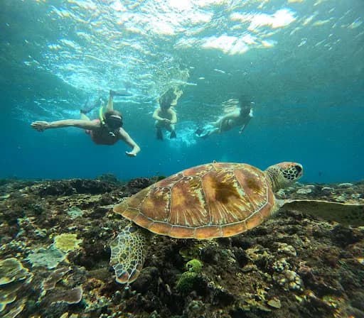 Ceningan snorkeling trip - Main Image