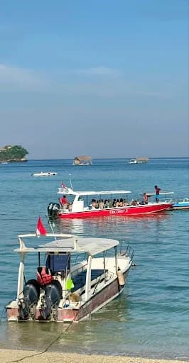 Captain Coconut Snorkeling - Main Image
