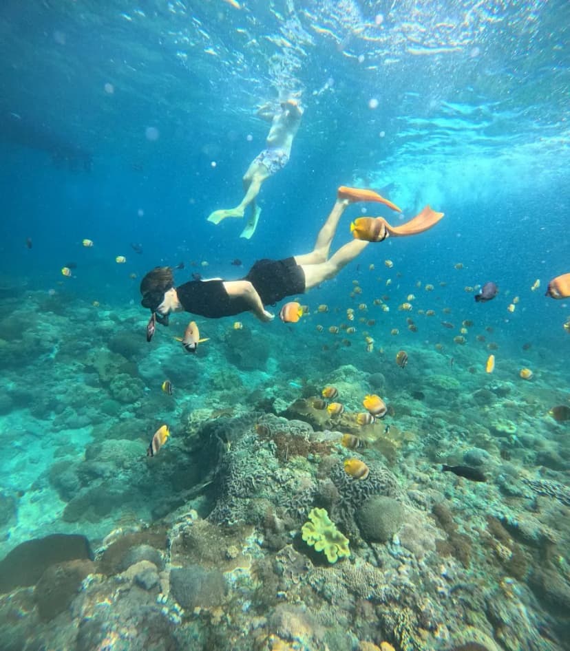 Tiger Rays Snorkeling - Main Image