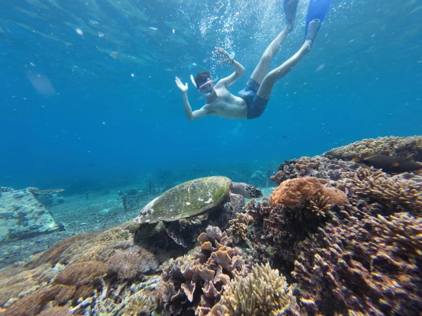 Manta Ray Excursion - Main Image