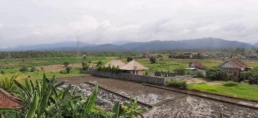 Bali Bungalow MedewiSurf-Homestay - Main Image