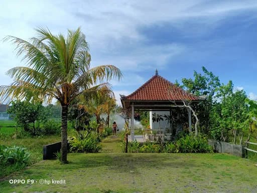 Mai malu beach view - Main Image