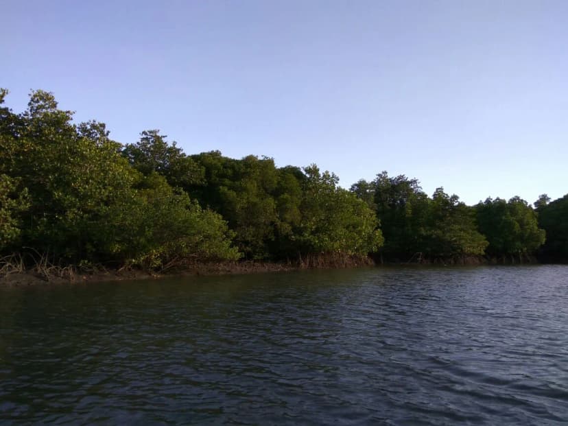 Teluk PangPang - Main Image