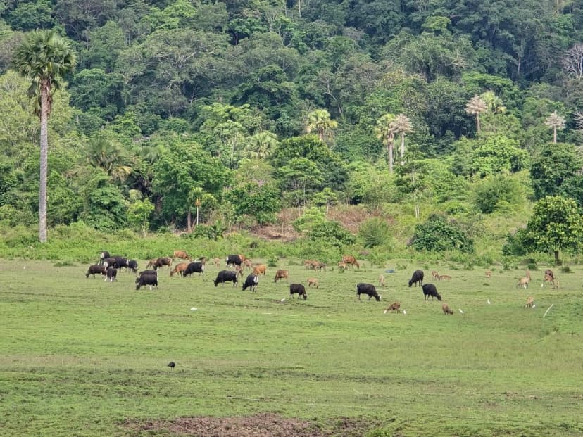 Alas Purwo National Park - Main Image