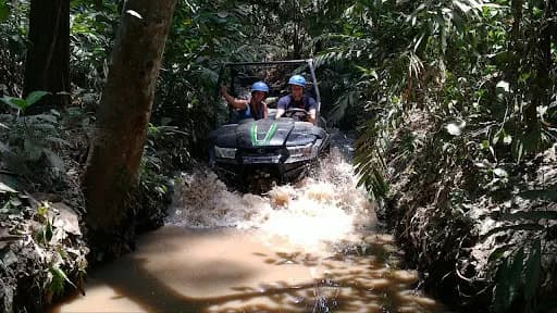 Bali Buggy Tour - Main Image