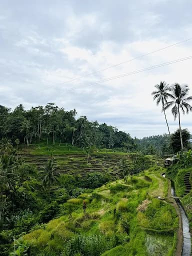Budi Tours Bali - Main Image