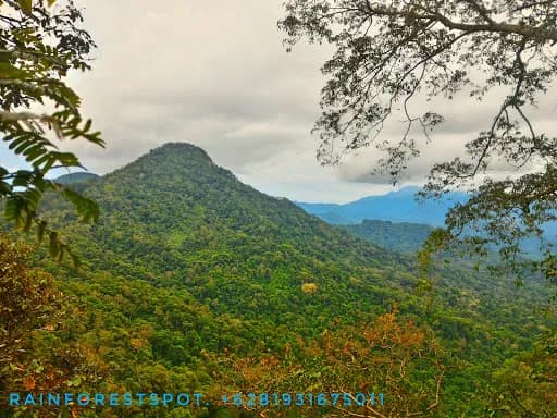 Tourist Information Center. Bali Barat National Park. - Main Image