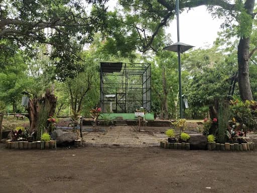 Bali Myna Release Center - Main Image