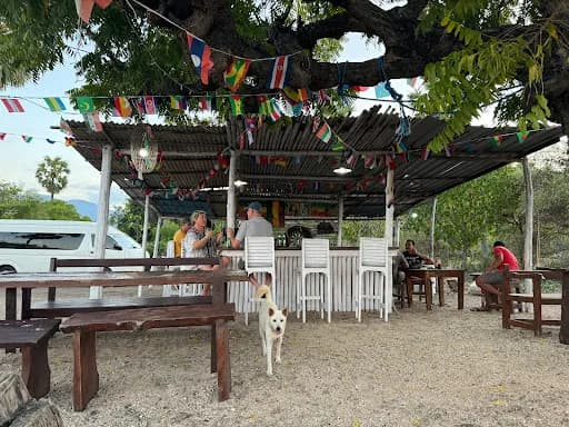 Robot Bar - Main Image