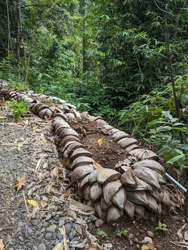 Jungle Therapy in Mayong - Main Image