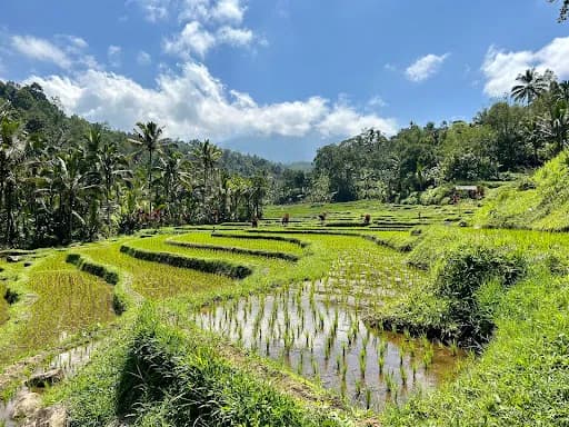 Gunung Batukaru (Mount Batukaru) - Main Image
