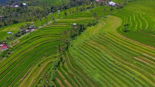 Sambangan Village Tourist Information (Sambangan Secret Garden) - Main Image