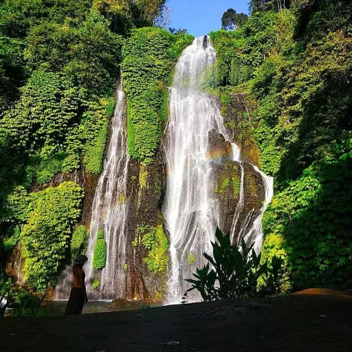 Banyumala ECO tourism - Main Image