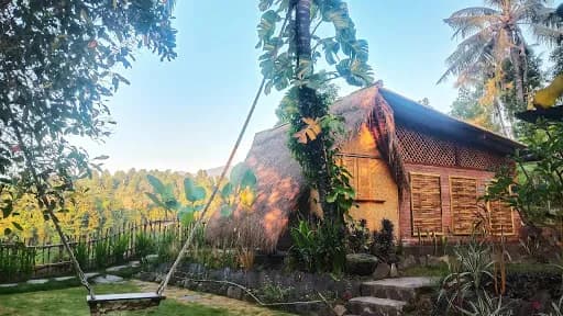 Wavi Eco Tree House - Main Image