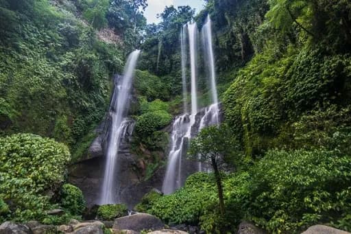Bli Gojink Bali|Lovina Driver and Tours - Main Image