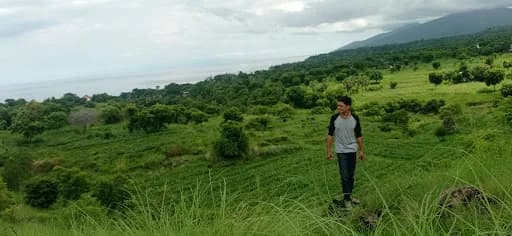 Munduk Cinta Tulamben - Main Image